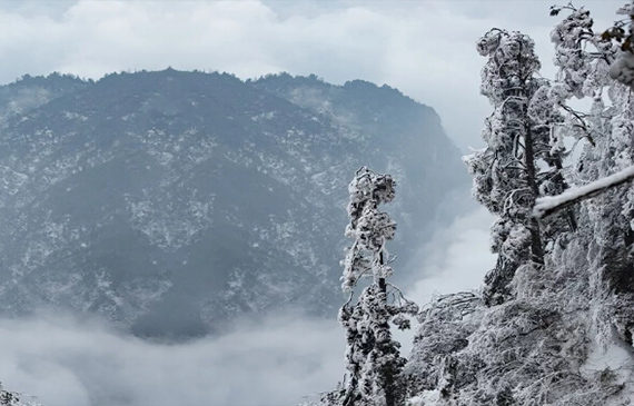 峨眉山第一场雪之摩托车水箱测漏仪为你展示另一种“美”【超钜微检】